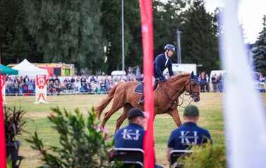 Galeria aktualności Zawody Jeździeckie 2026 - dzień 2 219