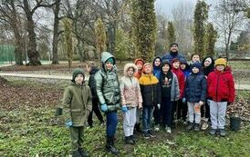 Drzewa owocowe w parku 3