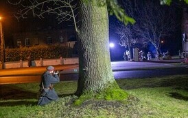 Obchody Narodowego Dnia Zwycięskiego Powstania Wielkopolskiego 35