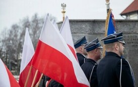 Obchody 79. rocznicy wyzwolenia Damasławka oraz 161. rocznicy Powstania Styczniowego. 22