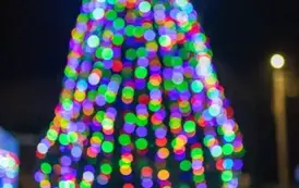 #DamasławskieMikołajki 2024 125