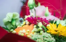 Galeria aktualności Złote Gody w Gminie Damasławek 111