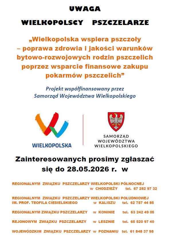 plakat_-_projekt