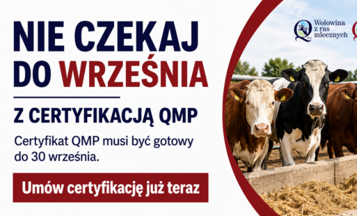 Zdjęcie do Informacja  z Polskiego Zrzeszenia Producent&oacute;w Bydła Mięsnego